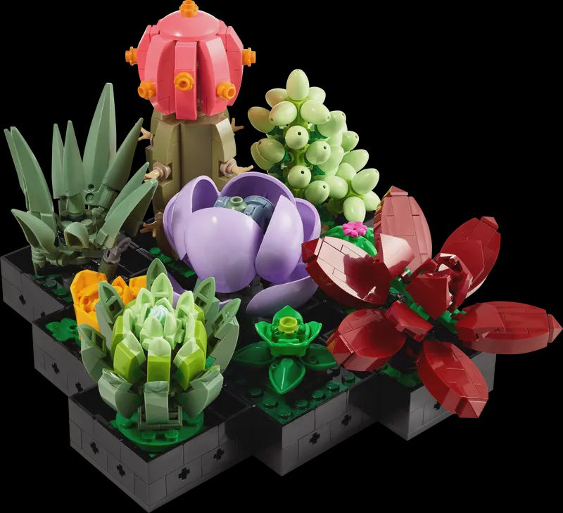 Succulents (10309)