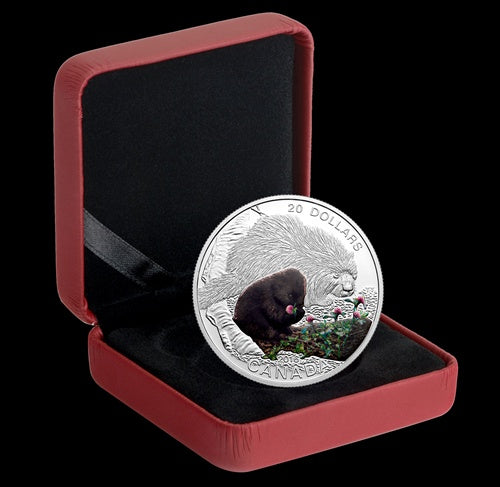 2016 $20 1 oz Fine Silver Coin Baby Animals: Porcupine (146984)