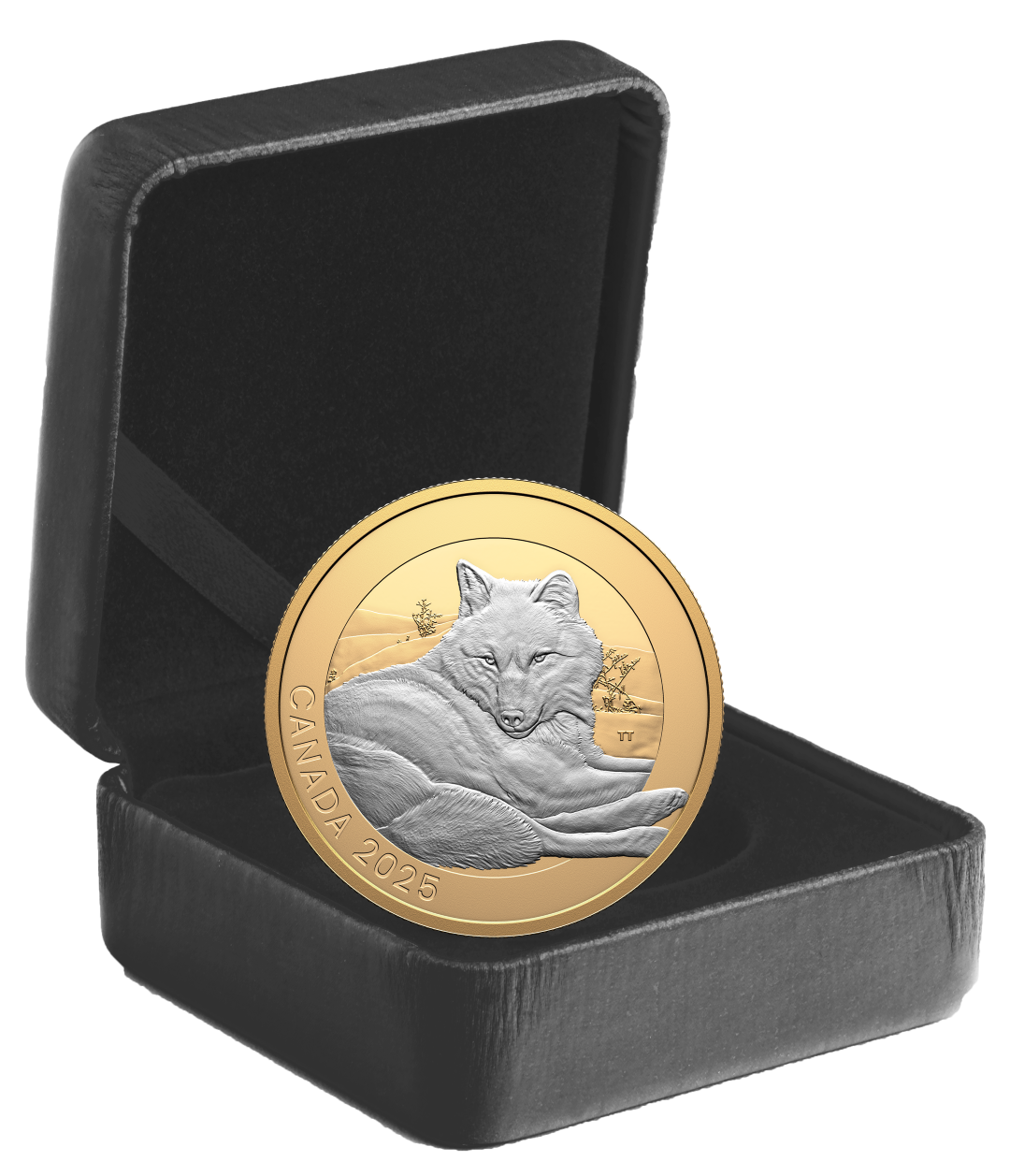 2025 $20 38mm 9999Ag - Animal Portraits: Grey Wolf (250148)
