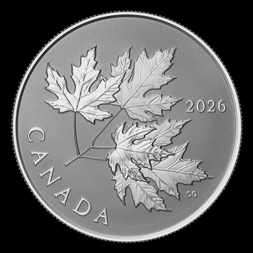 2026 $10 1/2 oz Fine Silver Coin - Gleaming Maple Leaves (251773)