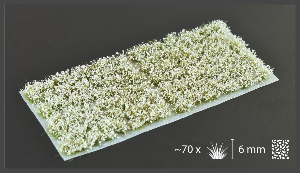 White Flowers - Wild