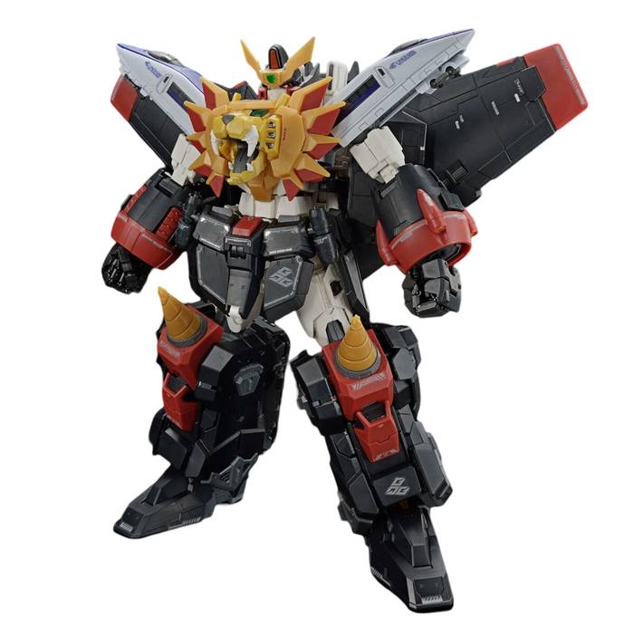 RG GAOGAIGAR