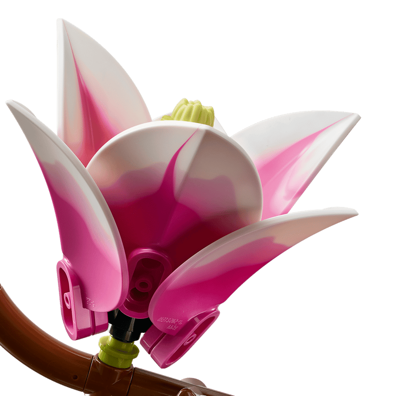 Magnolia Branches