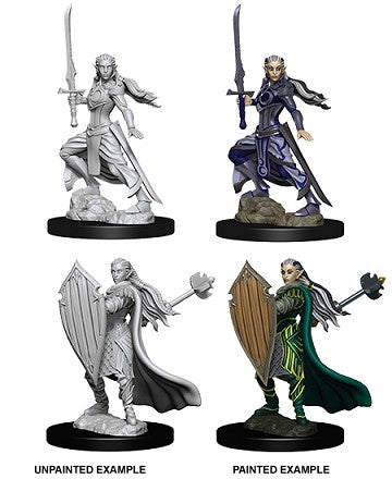 Figurines non peintes D&D Wv9 Elfe Paladin femelle