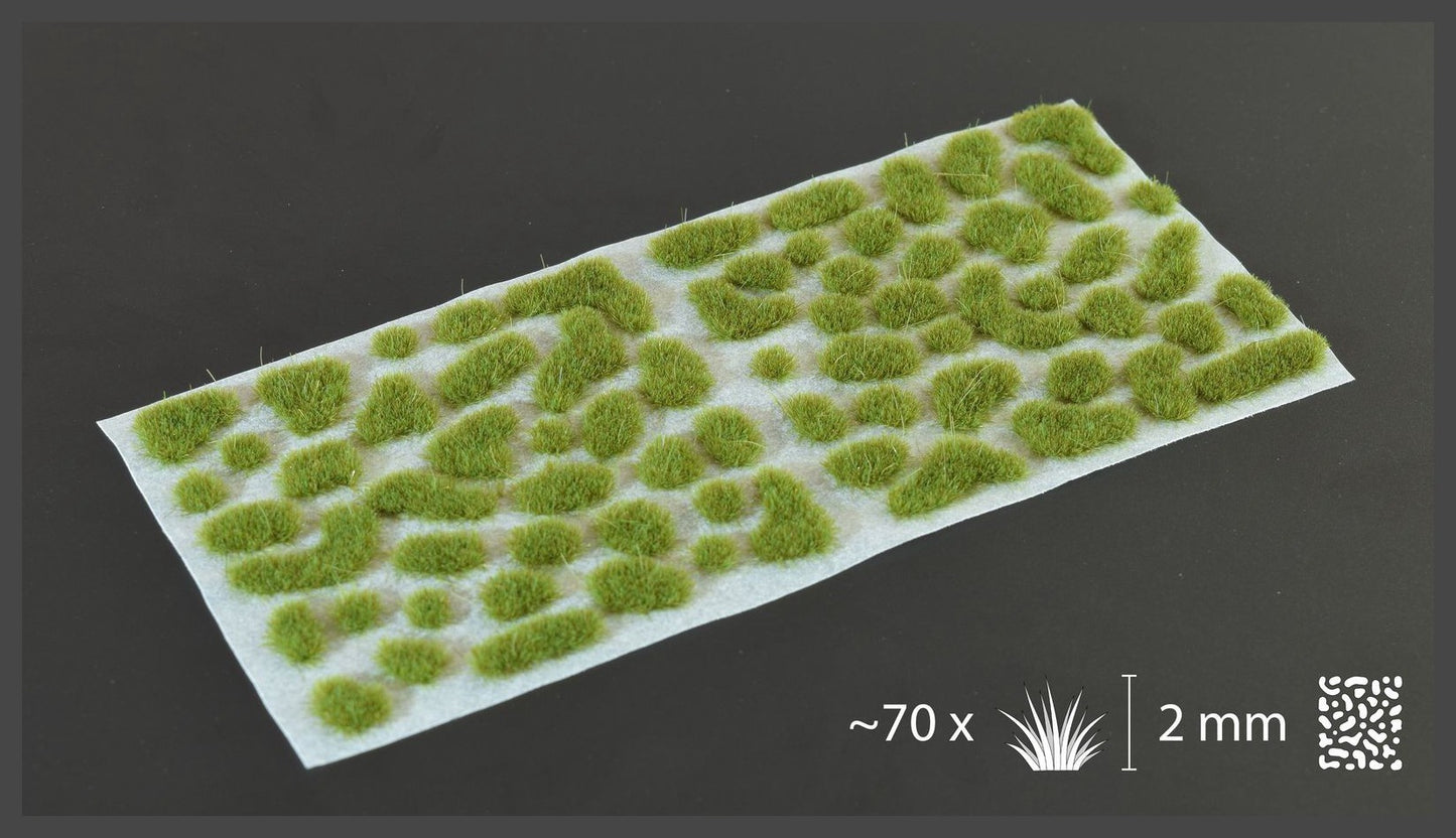 Dry Green Tufts 2mm - Wild