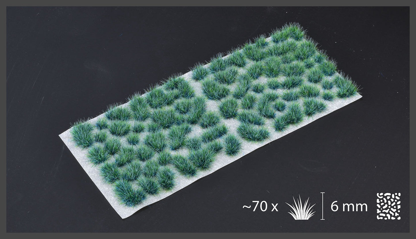 Alien Turquoise 6mm - Wild