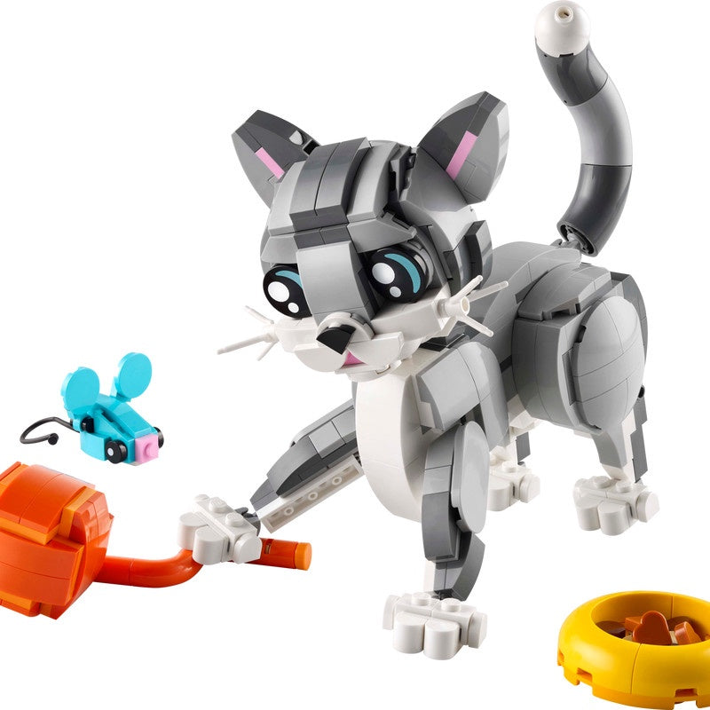Playful Cat (31163)