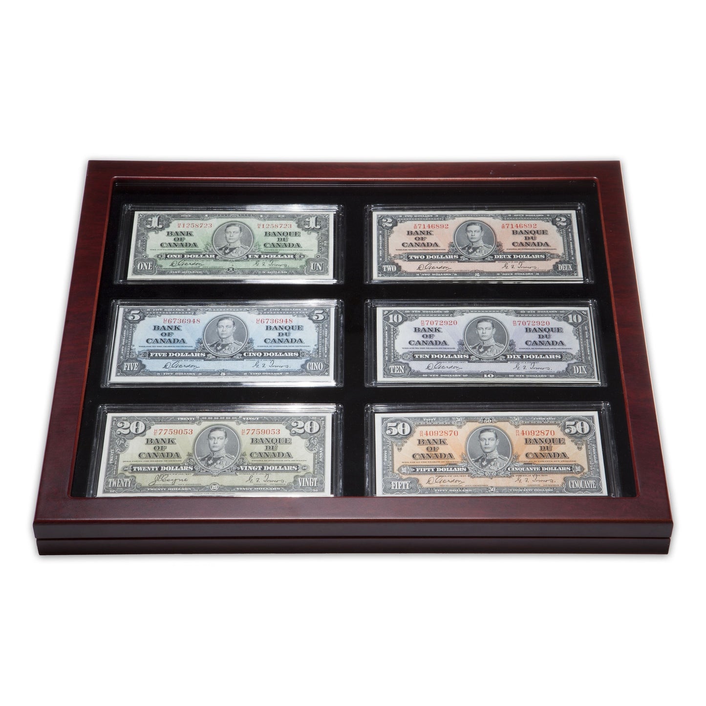 Showcase For 6 Banknotes Including Capsules