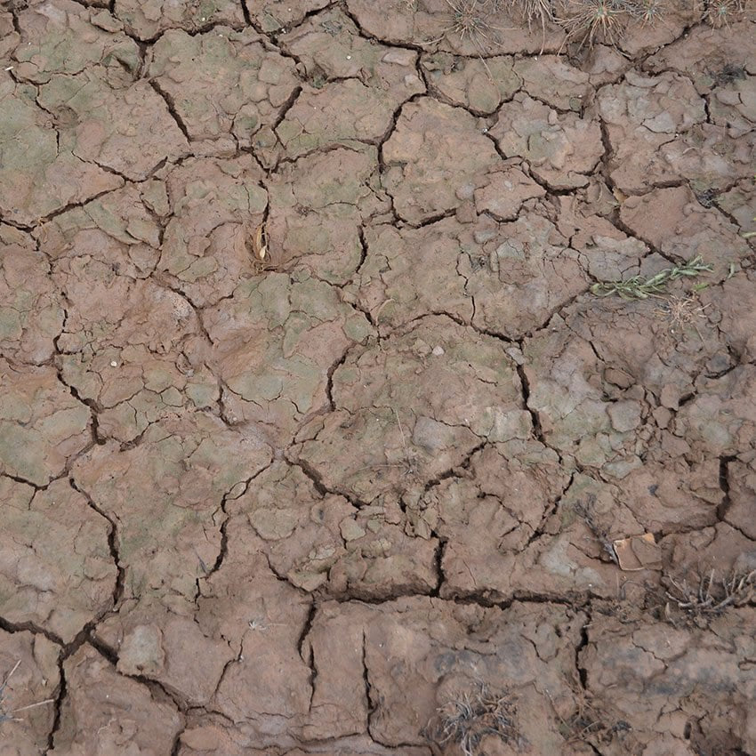 Effets craquelés humides AK Interactive - 100 ml (acrylique)