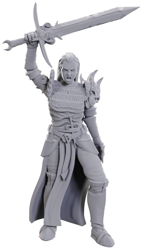 D&D Unpainted Minis Wv25 Blackguard