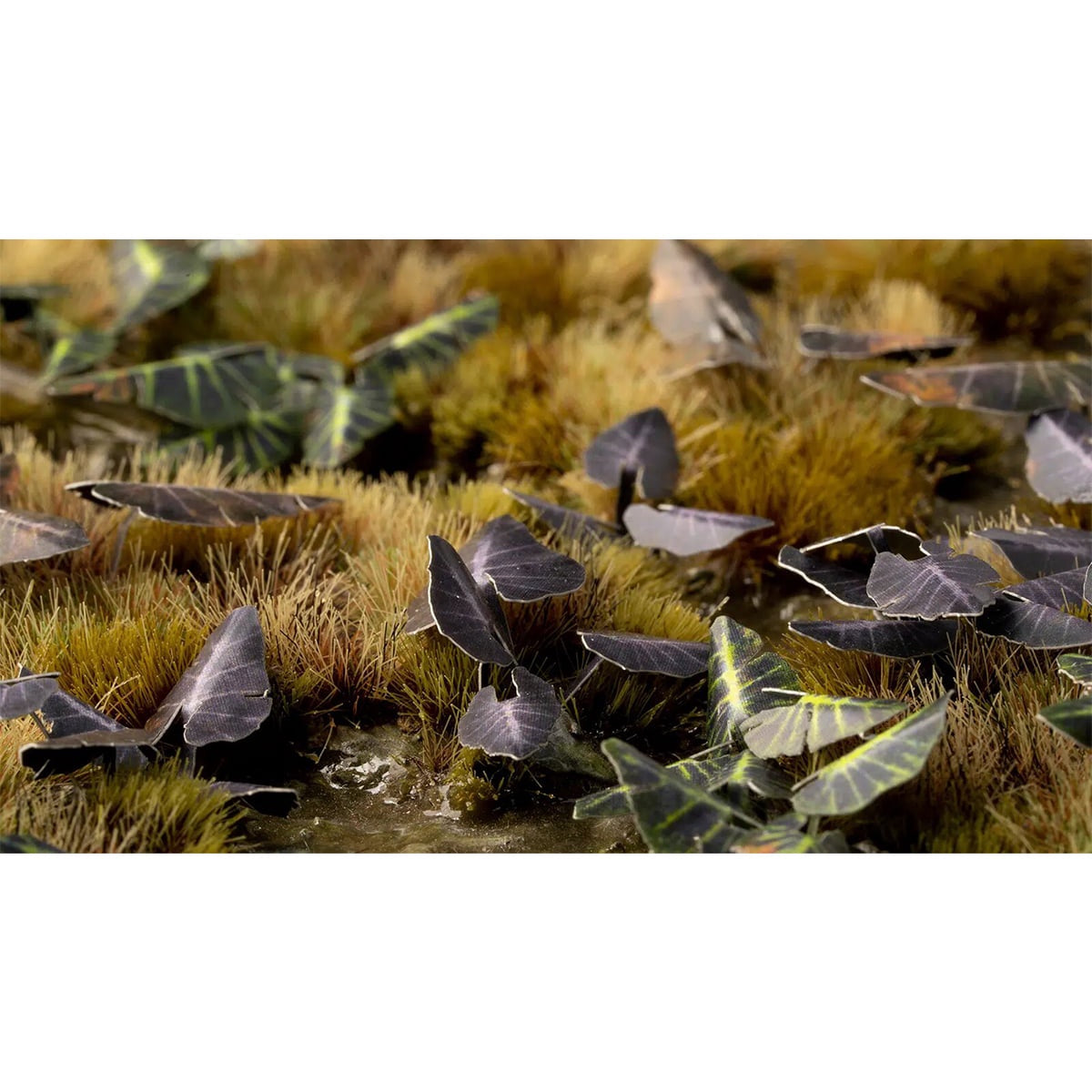 Laser Plants - Black Magic Taro