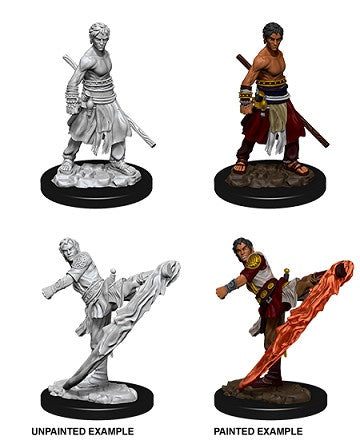 D&D Unpainted Minis Wv10 Male Half-elf Monk