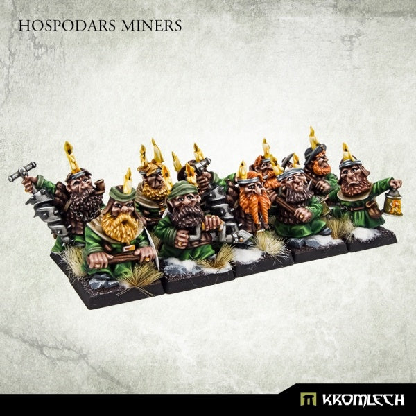 Hospodars Miners (10)