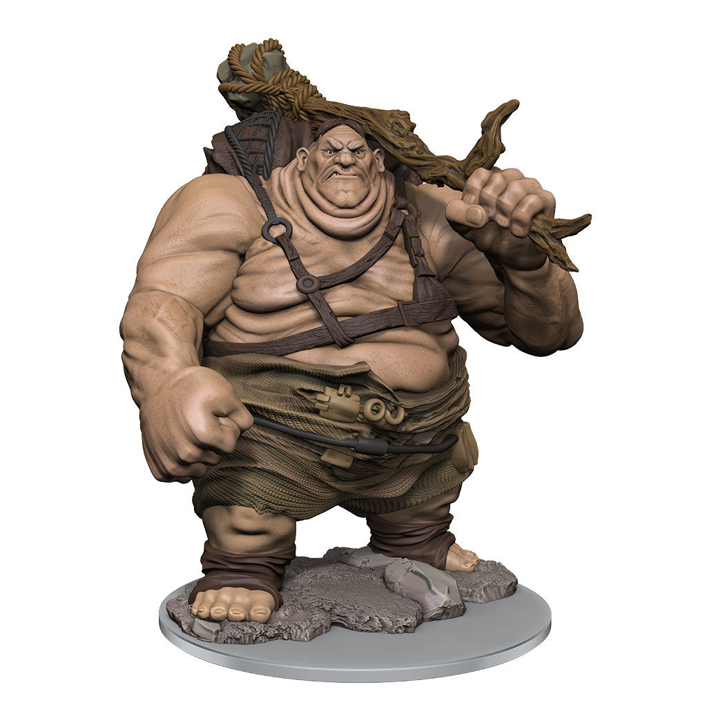D&D Unpainted Minis Wv17 Hill Giant