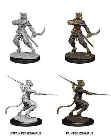Figurines non peintes D&D Wv7 Tabaxi mâle Voleur