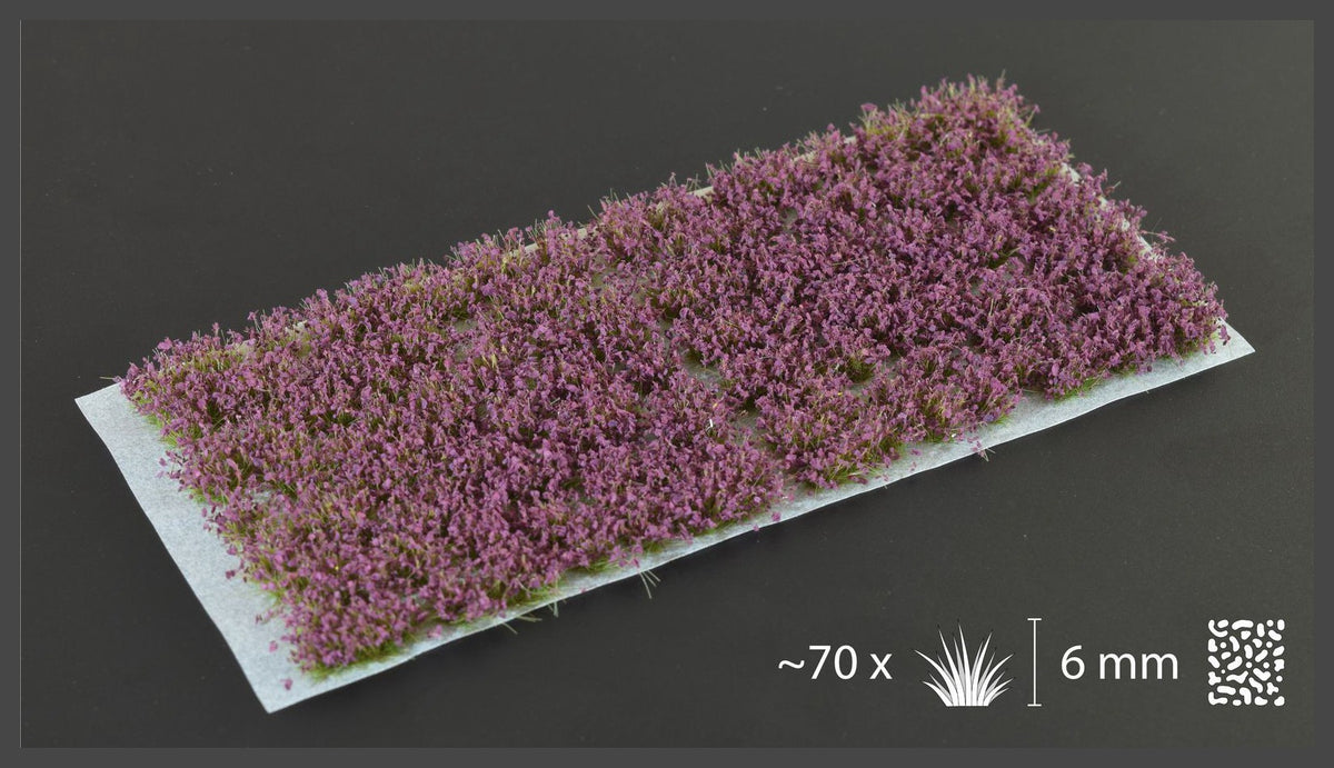 Violet Flowers - Wild