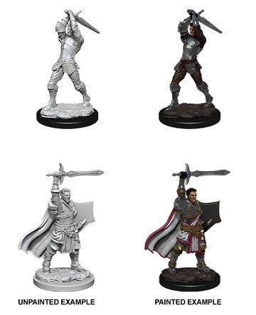 D&D Unpainted Minis Wv12 Male Human Paladin