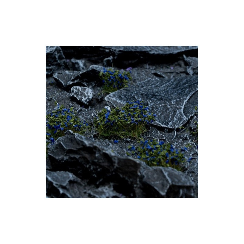 Blue Flowers - Wild