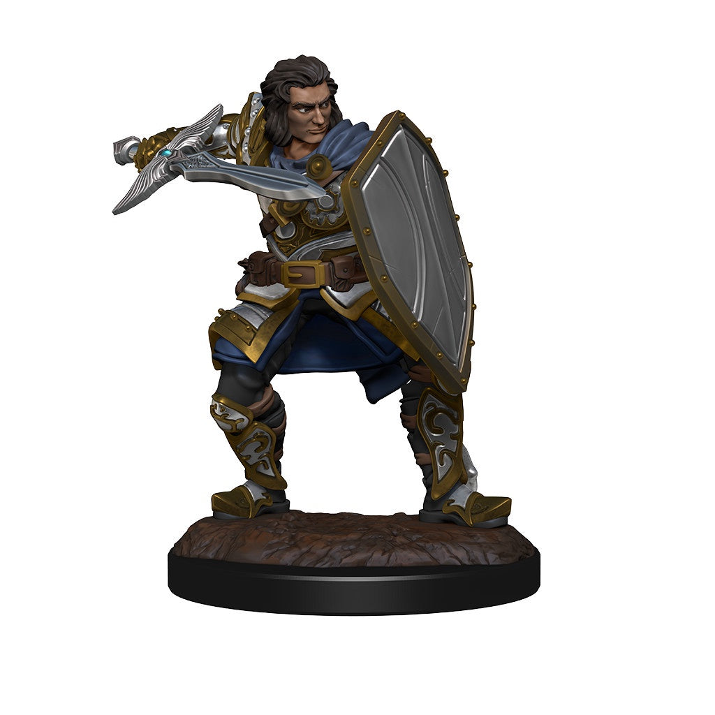 D&D Unpainted Minis Wv14 Human Paladin Male