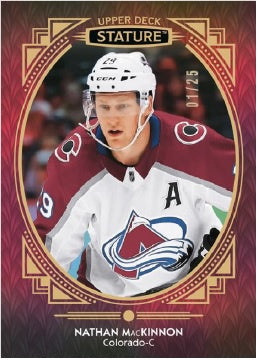 Upper Deck Stature Hockey 20/21