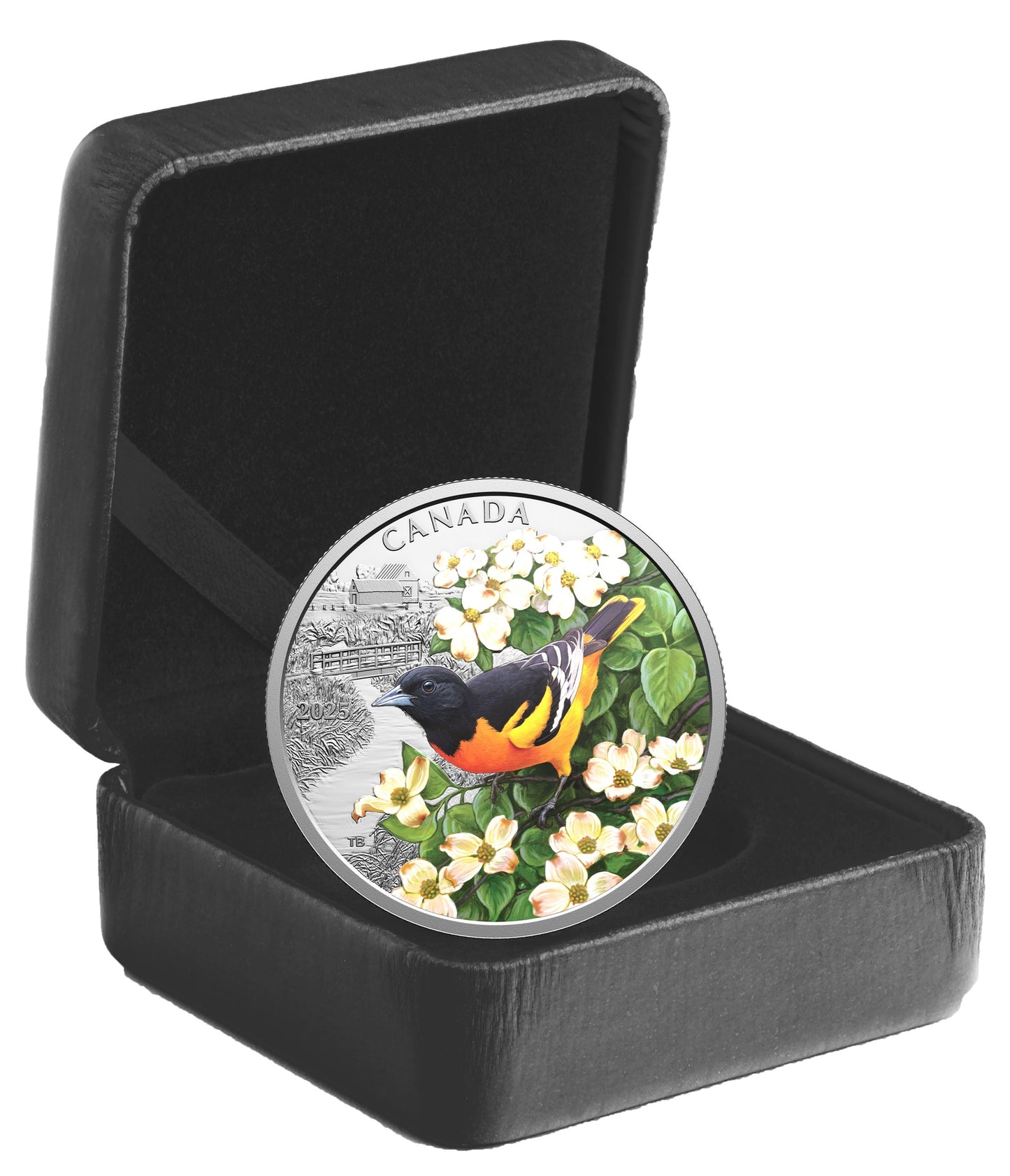 Colourful Birds: Baltimore Oriole – $20 1 oz. Fine Silver Coin (250190)