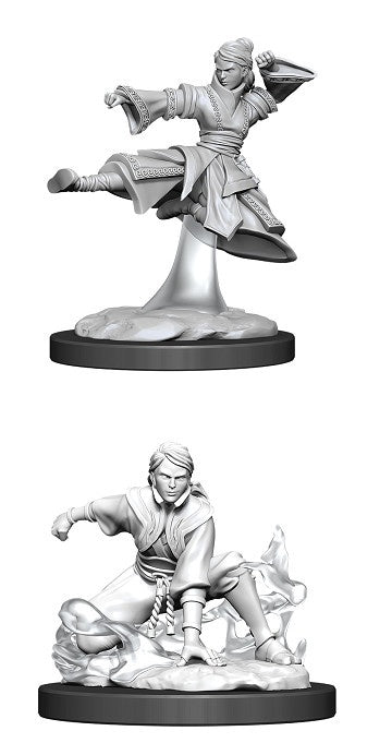 D&D Unpainted Minis Wv11 Female Human Monk