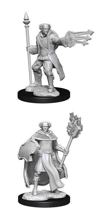 D&D Unpainted Minis Wv13 Cleric/Wizard Male