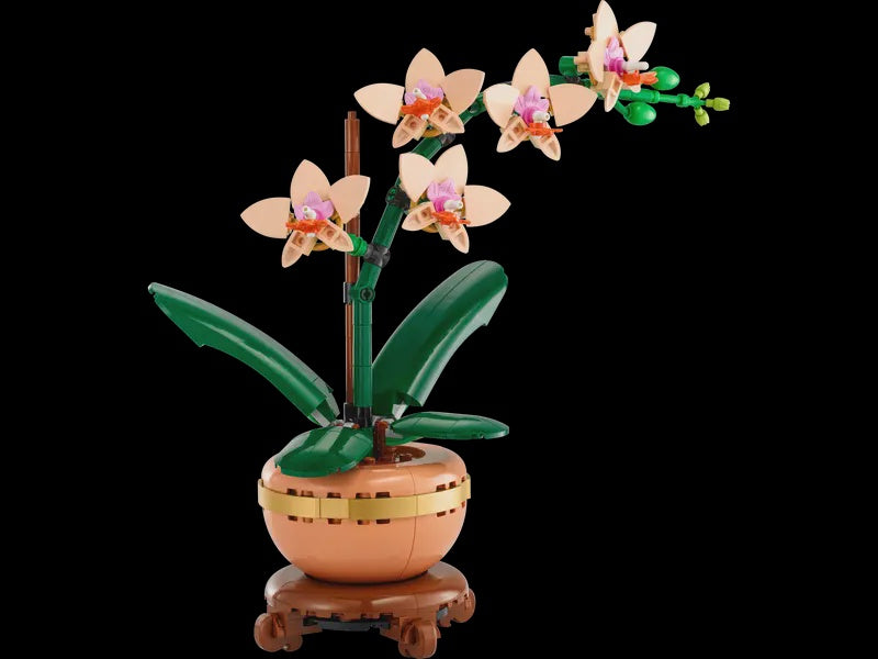 Mini Orchid (10343)