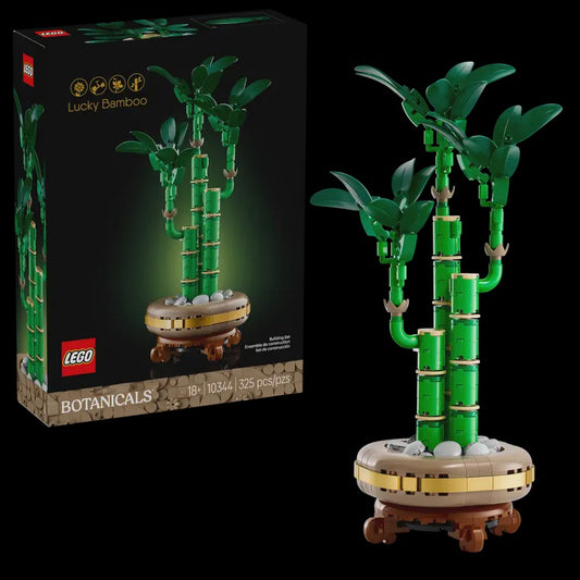 Lucky Bamboo (10344)