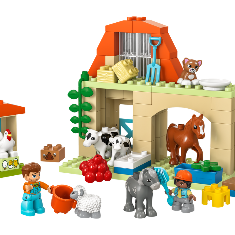 Prendre soin des animaux à la ferme