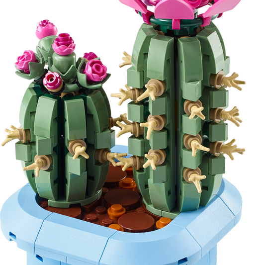 Flowering Cactus (11509)