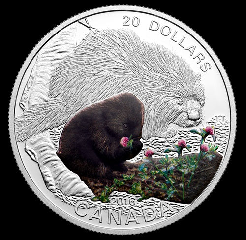 2016 $20 1 oz Fine Silver Coin Baby Animals: Porcupine (146984)