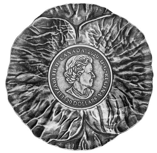 2020 $20 Fine Silver Coin - Remembrance Day