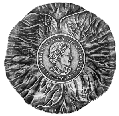 2020 $20 Fine Silver Coin - Remembrance Day
