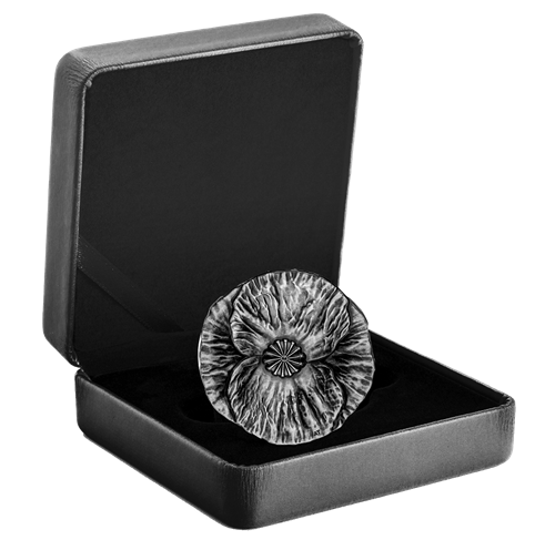 2020 $20 Fine Silver Coin - Remembrance Day