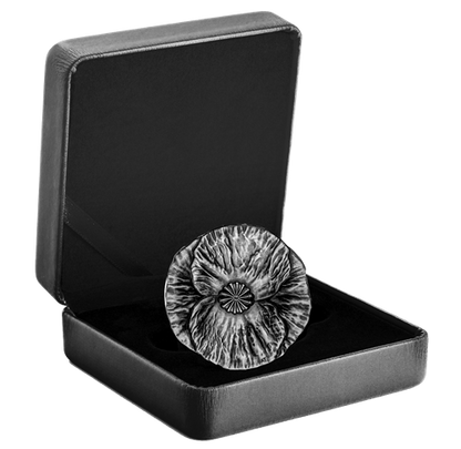2020 $20 Fine Silver Coin - Remembrance Day
