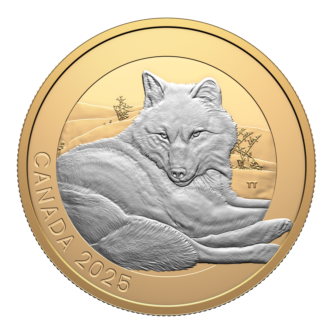 2025 $20 38mm 9999Ag - Animal Portraits: Grey  Wolf