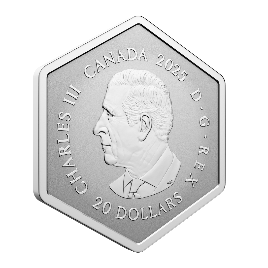 2025 $20 42mm 9999Ag - Snowflake
