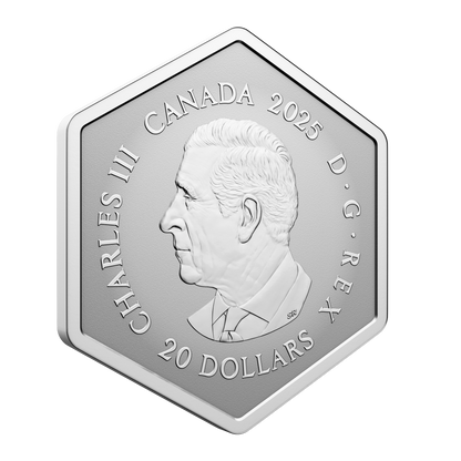 2025 $20 42mm 9999Ag - Snowflake