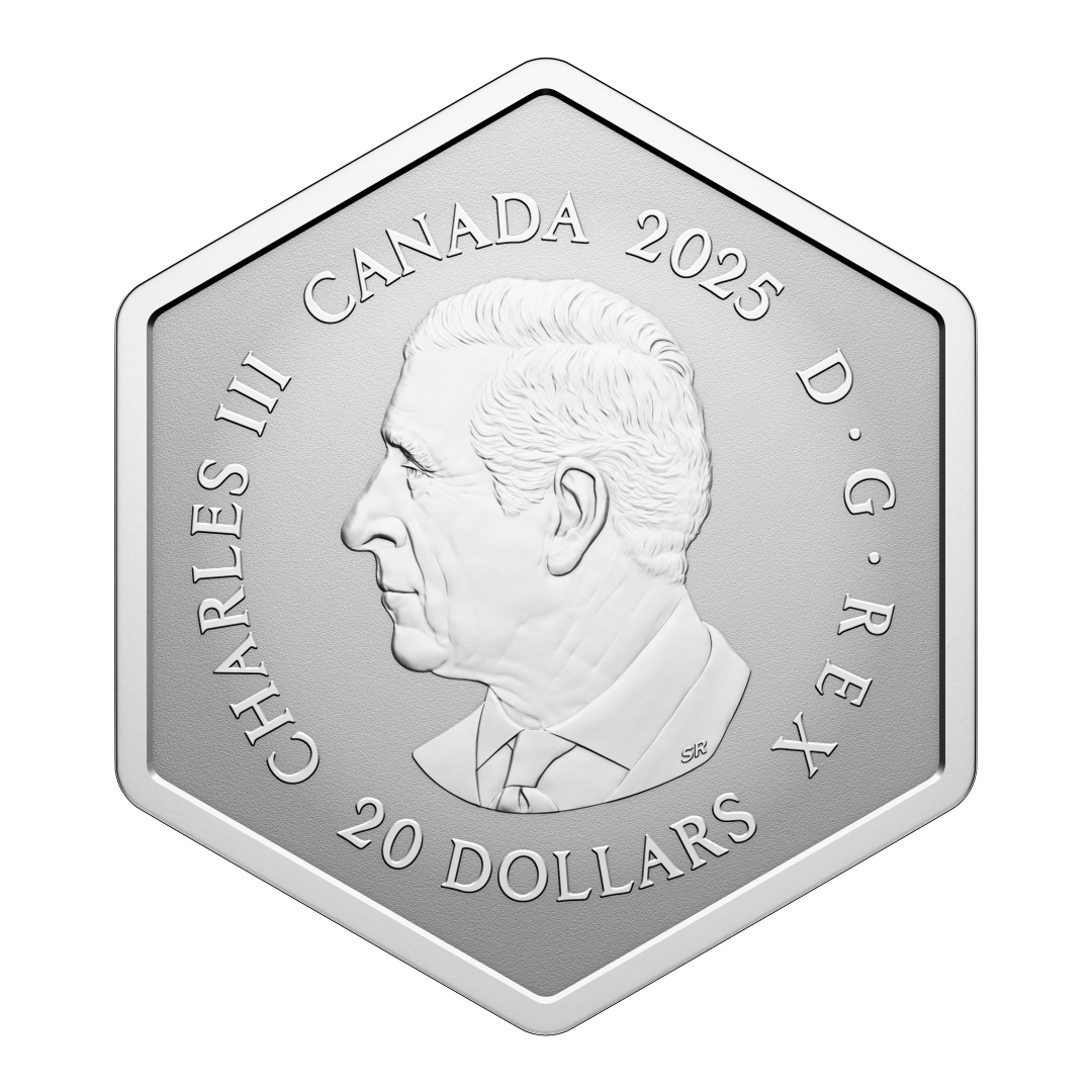 2025 $20 42mm 9999Ag - Snowflake