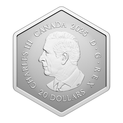 2025 $20 42mm 9999Ag - Snowflake