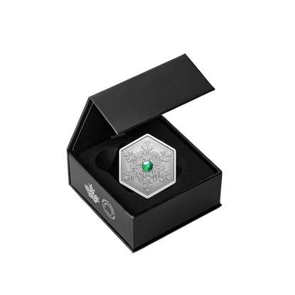 2025 $20 42mm 9999Ag - Snowflake