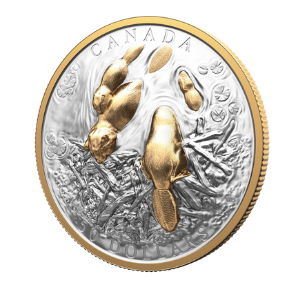 2025 $50 50mm 9999Ag - Beaver (Double EHR)