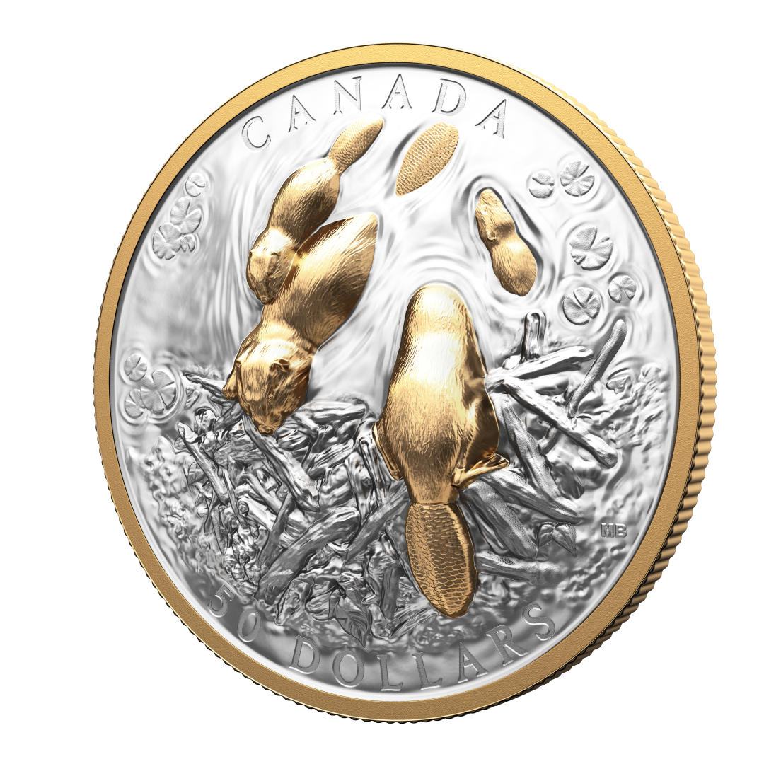 2025 $50 50mm 9999Ag - Beaver (Double EHR) (250902)