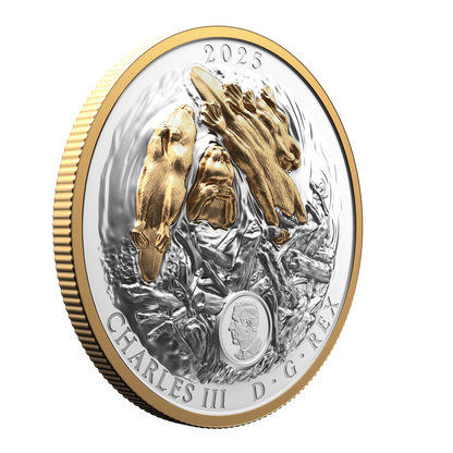 2025 $50 50mm 9999Ag - Beaver (Double EHR)