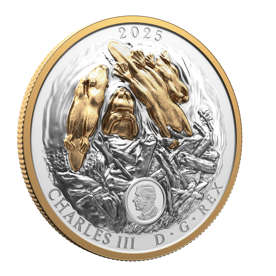 2025 $50 50mm 9999Ag - Beaver (Double EHR)