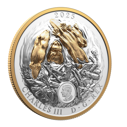 2025 $50 50mm 9999Ag - Beaver (Double EHR)