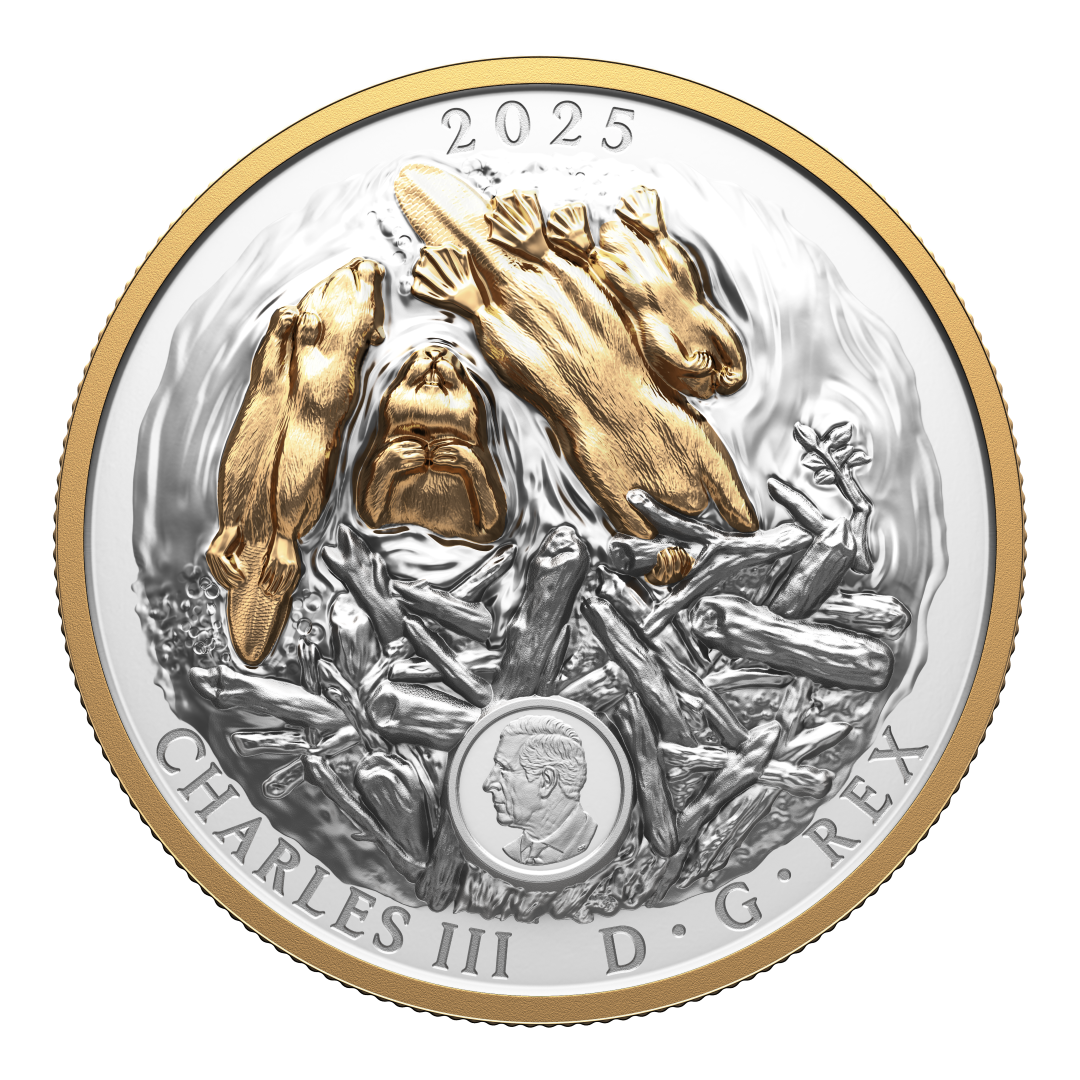 2025 $50 50mm 9999Ag - Beaver (Double EHR)