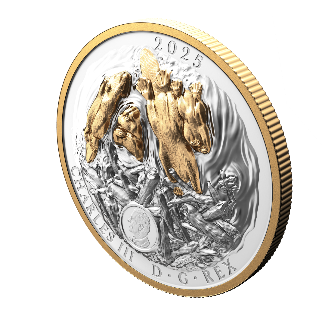 2025 $50 50mm 9999Ag - Beaver (Double EHR)