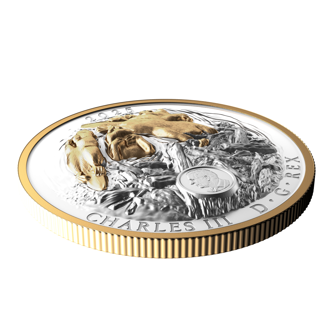 2025 $50 50mm 9999Ag - Beaver (Double EHR)